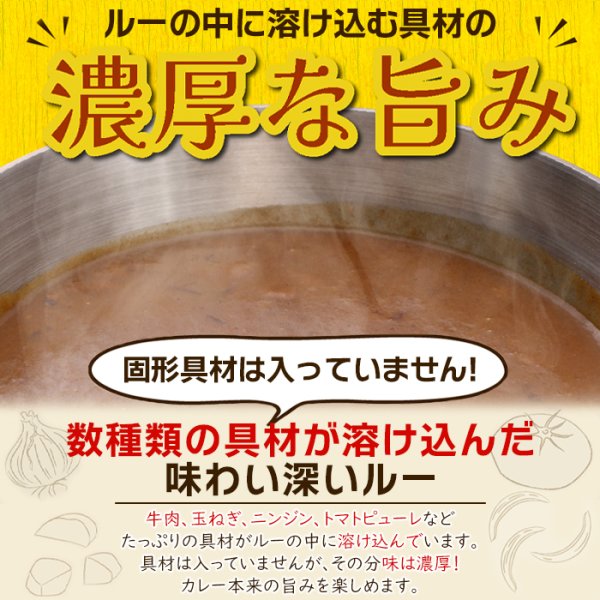 画像4: 20種類以上のスパイス使用！美味しいレトルト食研カレー4食(200g×4袋) (4)