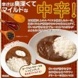 画像5: 20種類以上のスパイス使用！美味しいレトルト食研カレー4食(200g×4袋) (5)