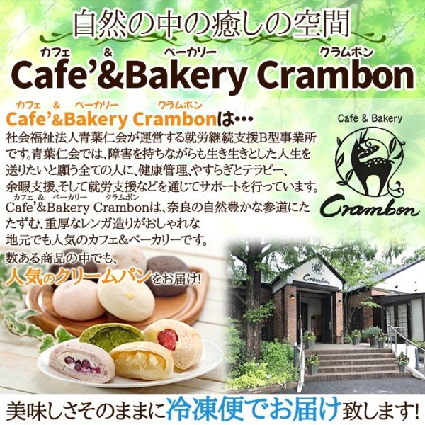 画像2: ひんやり美味しい新感覚スイーツ！冷やしクリームパン10種10個セット≪冷凍≫ (2)