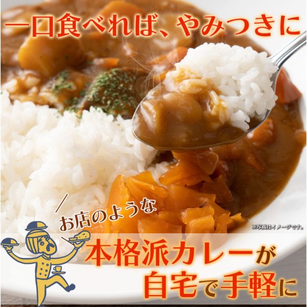 画像1: 3種食べ比べ！本格派レトルトカレー5食セット (1)