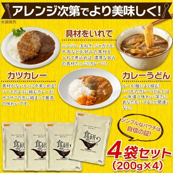 画像6: 20種類以上のスパイス使用！美味しいレトルト食研カレー4食(200g×4袋) (6)