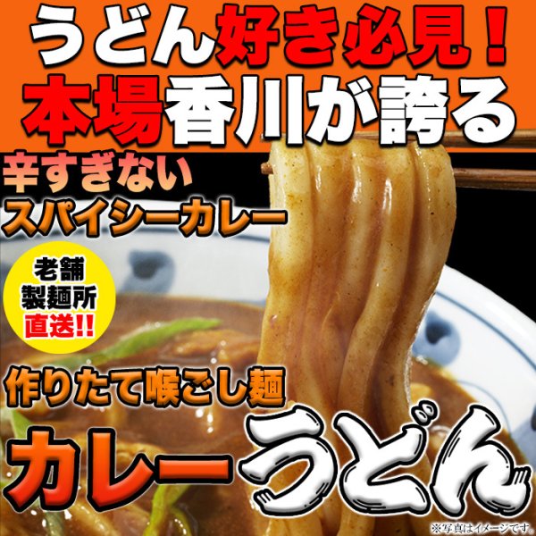 画像1: 讃岐の製麺所が作る、レンジで簡単！辛すぎないスパイシーなカレーうどん4食(180g×4) (1)