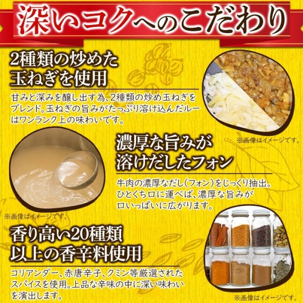 画像3: 20種類以上のスパイス使用！美味しいレトルト食研カレー4食(200g×4袋) (3)