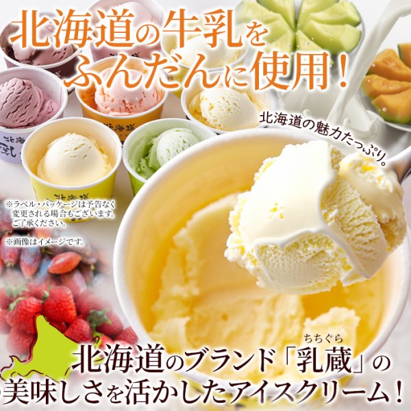 画像1: 8つの味を食べ比べ♪北海道アイス 8個セット≪冷凍≫ (1)