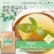 画像1: 爽快感がお口の中を駆け抜ける！2種類のミントを使用☆ミントハーバルブレンドティー50包 (1)