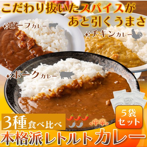 画像6: 3種食べ比べ！本格派レトルトカレー5食セット (6)