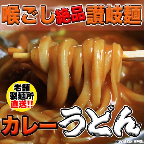 画像6: 讃岐の製麺所が作る、レンジで簡単！辛すぎないスパイシーなカレーうどん4食(180g×4) (6)