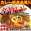 画像1: ゴロッと玉ねぎと骨付きチキンのスープカレー2人前(260g×2袋) (1)