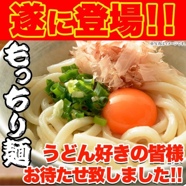 画像2: 鎌田醤油特製ダシ醤油6袋付き!!讃岐うどん6食分600g（300g×2袋） (2)