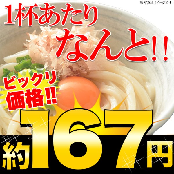 画像1: 鎌田醤油特製ダシ醤油6袋付き!!讃岐うどん6食分600g（300g×2袋） (1)
