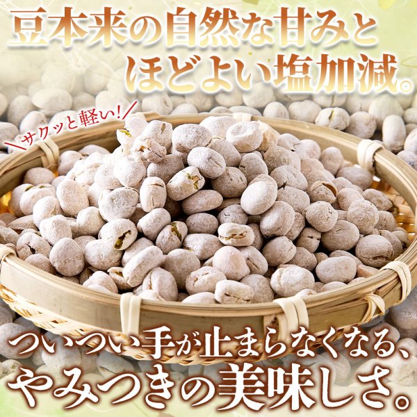 画像1: 高たんぱく質＆ほんのり塩味で豆の甘みが引き立つ！ソフト塩豆 500g (1)