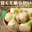 画像3: 甘くて柔らかい淡路島産玉ねぎ100％使用！淡路島たまねぎスープ30包 (3)