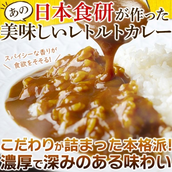 画像1: 20種類以上のスパイス使用！美味しいレトルト食研カレー4食(200g×4袋) (1)