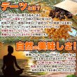 画像6: 濃厚な自然の甘さ!!【大容量】ドライデーツ500g (6)