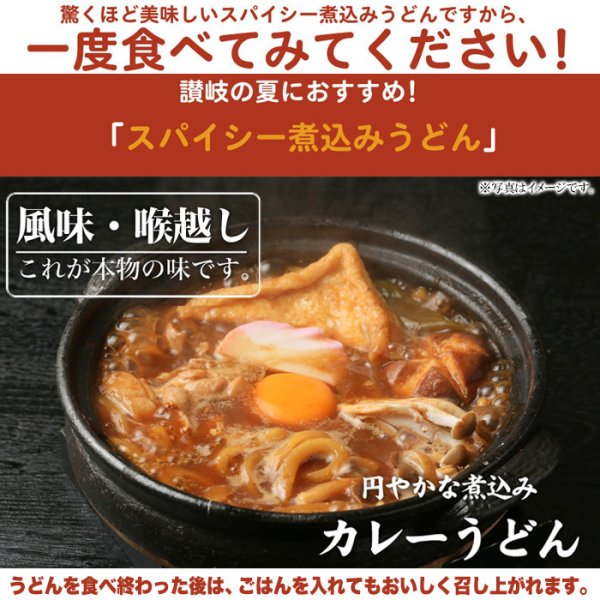 画像3: 讃岐の製麺所が作る、レンジで簡単！辛すぎないスパイシーなカレーうどん4食(180g×4) (3)