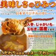 画像6: ゴロッと玉ねぎと骨付きチキンのスープカレー2人前(260g×2袋) (6)