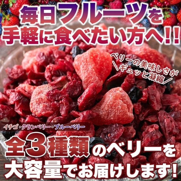画像1: ベリーの美味しさがギュッと凝縮!【お徳用】ミックスベリー3種500g (1)
