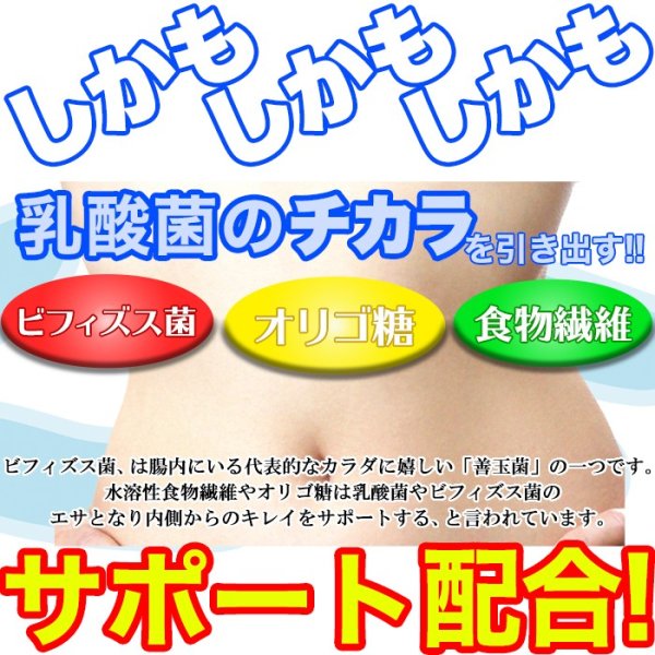 画像6: メガ盛り★乳酸菌サプリメントどっさり約4ヶ月分 (6)