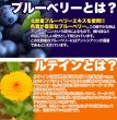 画像2: メガ盛り★ブルーベリー＆ルテインサプリ約4ヵ月分≪常温≫ (2)