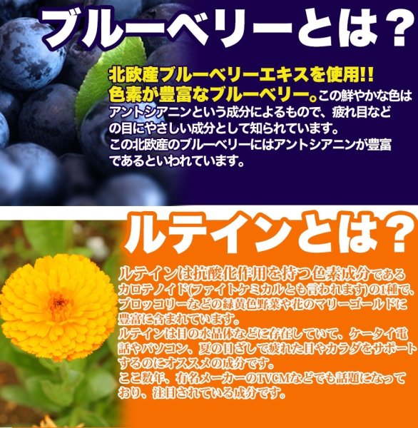 画像2: メガ盛り★ブルーベリー＆ルテインサプリ約4ヵ月分≪常温≫ (2)
