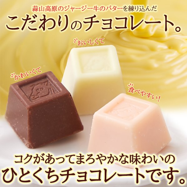 画像3: いろんな味が楽しめる!!【お徳用】ジャージーミックスひとくちチョコレート300g (3)