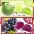 画像3: 小粒サイズのもっちり食感♪4種のフルーツペクチンゼリー500ｇ（かぼす、巨峰、パイン、いちご） (3)
