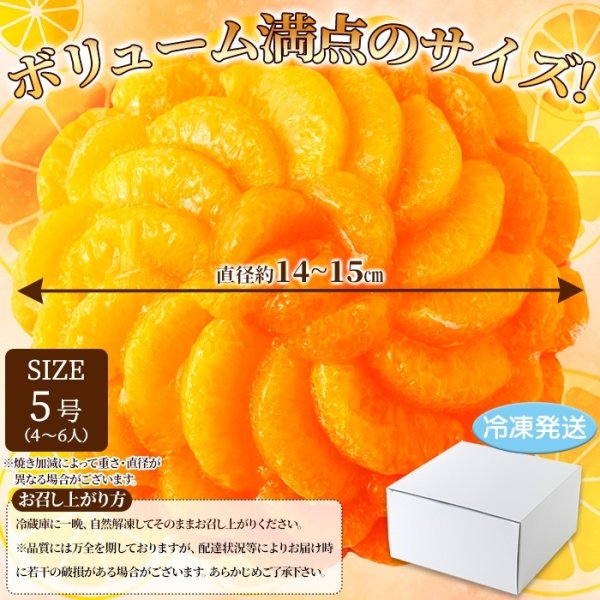 画像4: さっぱりフルーティー♪贅沢★オレンジ＆みかんタルト≪冷凍≫ (4)