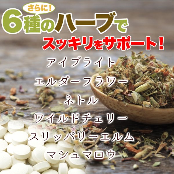 画像3: メガ盛り★じゃばらサプリメント約4ヵ月分 (3)