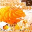 画像6: さっぱりフルーティー♪贅沢★オレンジ＆みかんタルト≪冷凍≫ (6)