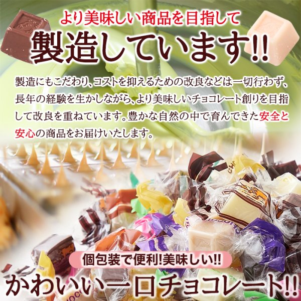 画像6: いろんな味が楽しめる!!【お徳用】ジャージーミックスひとくちチョコレート300g (6)