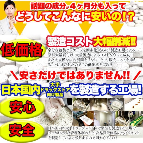 画像7: メガ盛り★黒セサミン＋スタミナサプリ約4ヶ月分 (7)