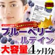 画像1: メガ盛り★ブルーベリー＆ルテインサプリ約4ヵ月分≪常温≫ (1)