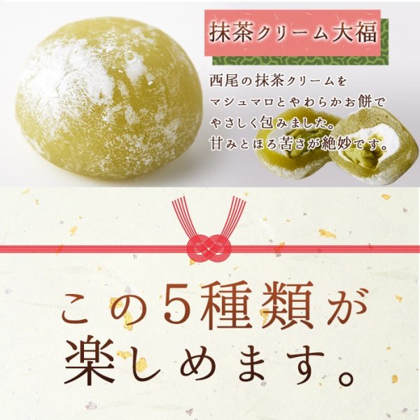 画像7: 個包装タイプで日持ちもgood!!急な来客にも☆もちもち♪ひとくちプチ大福アソート5種1kg(250g×4袋) (7)