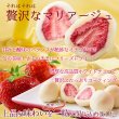 画像3: 酸味と甘味が絶妙なコラボレーション!!夢の大人買い★贅沢まるごといちごのホワイトチョコどっさり250g (3)