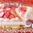 画像1: スイーツの王様！たっぷり生クリームといちごのショートケーキ≪冷凍≫ (1)