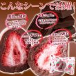 画像5: 酸味と甘さの絶妙なハーモニー!!【お徳用】濃厚まるごといちごのミルクチョコ250g (5)