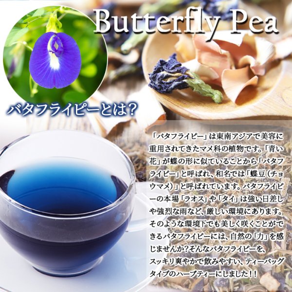 画像2: 青く美しいお茶…【お徳用】バタフライピーハーバルブレンドティー50包 (2)