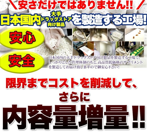 画像4: メガ盛り★ブルーベリー＆ルテインサプリ約4ヵ月分≪常温≫ (4)