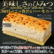 画像3: 【ギフト対応可商品】2種類の北海道産チーズを使用！しっとり濃厚なチーズケーキブリュレ2本セット≪冷凍≫ (3)