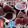 画像2: なめらかな口あたりと喉越しの良さ!!【お徳用】ひとくちミニ水ようかん50個 (2)
