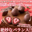 画像1: 酸味と甘さの絶妙なハーモニー!!【お徳用】濃厚まるごといちごのミルクチョコ250g (1)