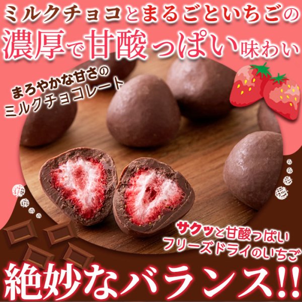 画像1: 酸味と甘さの絶妙なハーモニー!!【お徳用】濃厚まるごといちごのミルクチョコ250g (1)