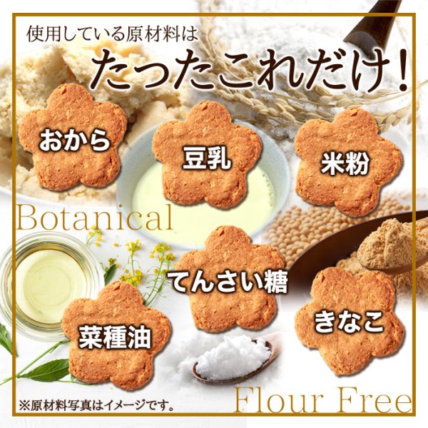 画像4: 植物由来で素朴な美味しさ。【無選別】米粉とてんさい糖の豆乳おからクッキー500g (4)