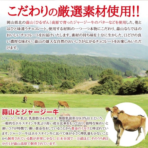 画像4: いろんな味が楽しめる!!【お徳用】ジャージーミックスひとくちチョコレート300g (4)