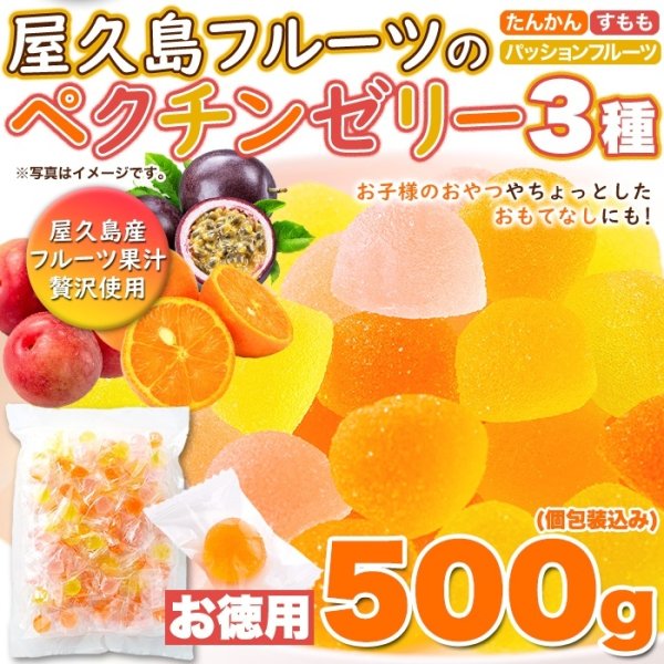 画像6: 屋久島産フルーツ果汁使用!!【お徳用】屋久島フルーツのペクチンゼリー3種500g(パッションフルーツ、たんかん、すもも)× 20個 (6)
