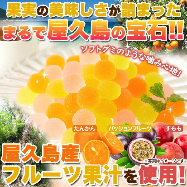 画像1: 屋久島産フルーツ果汁使用!!【お徳用】屋久島フルーツのペクチンゼリー3種500g(パッションフルーツ、たんかん、すもも)× 20個 (1)