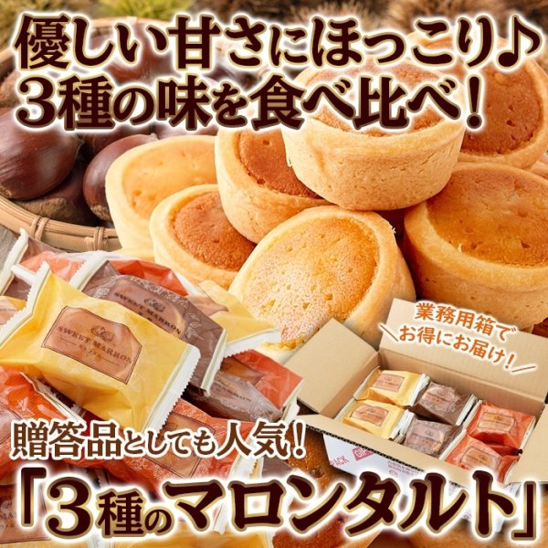画像1: メープル・キャラメル・黒糖☆3種の味を食べ比べ♪3種のマロンタルト24個 (1)