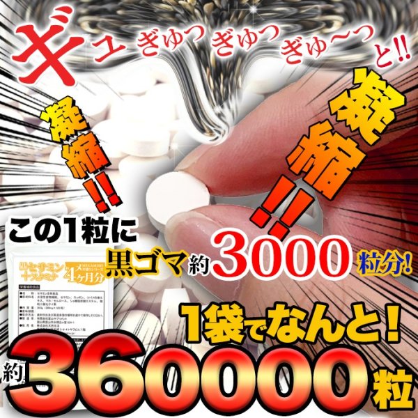 画像4: メガ盛り★黒セサミン＋スタミナサプリ約4ヶ月分 (4)