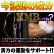 画像3: メガ盛り★HMBサプリメントどっさり約4ヶ月分 (3)