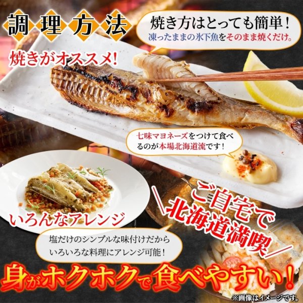 画像5: 【　ギフト対応可商品　】本場北海道の味！生干し氷下魚(こまい)1kg (5)